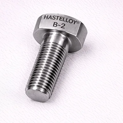 Hastelloy B-2 screw product example