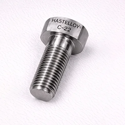 Hastelloy C-22 screw product example