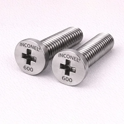Inconel 600 screw product example