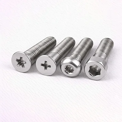 Special SS screw product example