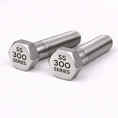SS 300 Series bolt product example