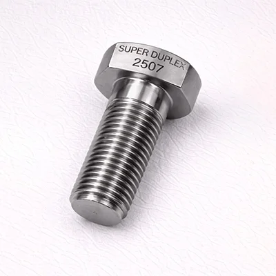 Super Duplex 2507 screw product example